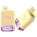 Vapsolo Twins 20000 Puffs Disposable Vape Wholesale Vape For Wholesale