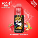 RM PARADISE 8000 bouffées Vape jetable en gros Framboise Pêche Glace