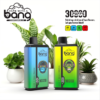 Bnag 30000 Puffs Vape Desechable al por mayor (1)