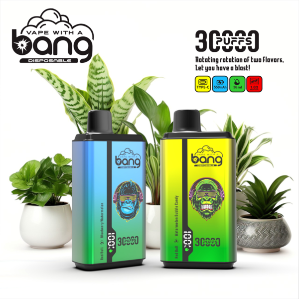 Bnag 30000 Puffs Vape Descartável Atacado (1)