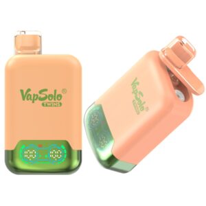 Vapsolo Twins 20000 Puffs Vape descartável Atacado laranja manga melancia touro vermelho