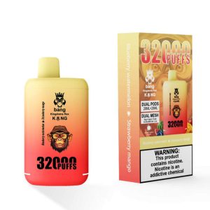 Bang Kingdom Rex 32000 Puffs usa e getta Vape all'ingrosso Mirtillo Anguria Fragola Mango