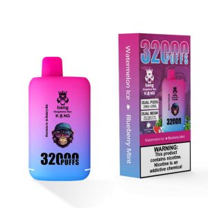 Bang Kingdom Rex 32000 Puffs Vape Desechable Mayorista Sandía Hielo Arándano Menta