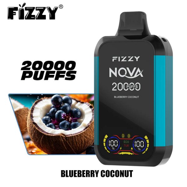 Fizzy Nova 20000 boccate di vapore monouso all'ingrosso Mirtillo Cocco