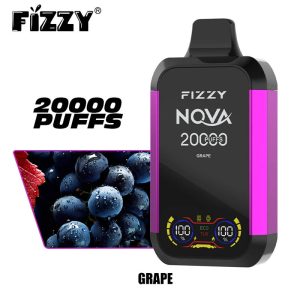 Fizzy Nova 20000 boccate di vapore monouso all'ingrosso uva