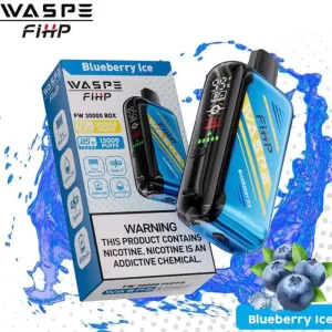 WASPE FIHP 30000 30K Puffs Einweg Vape Großhandel Heidelbeere Eis