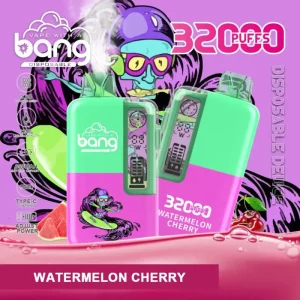 Bang 32000 Puffs Pastèque Cerise